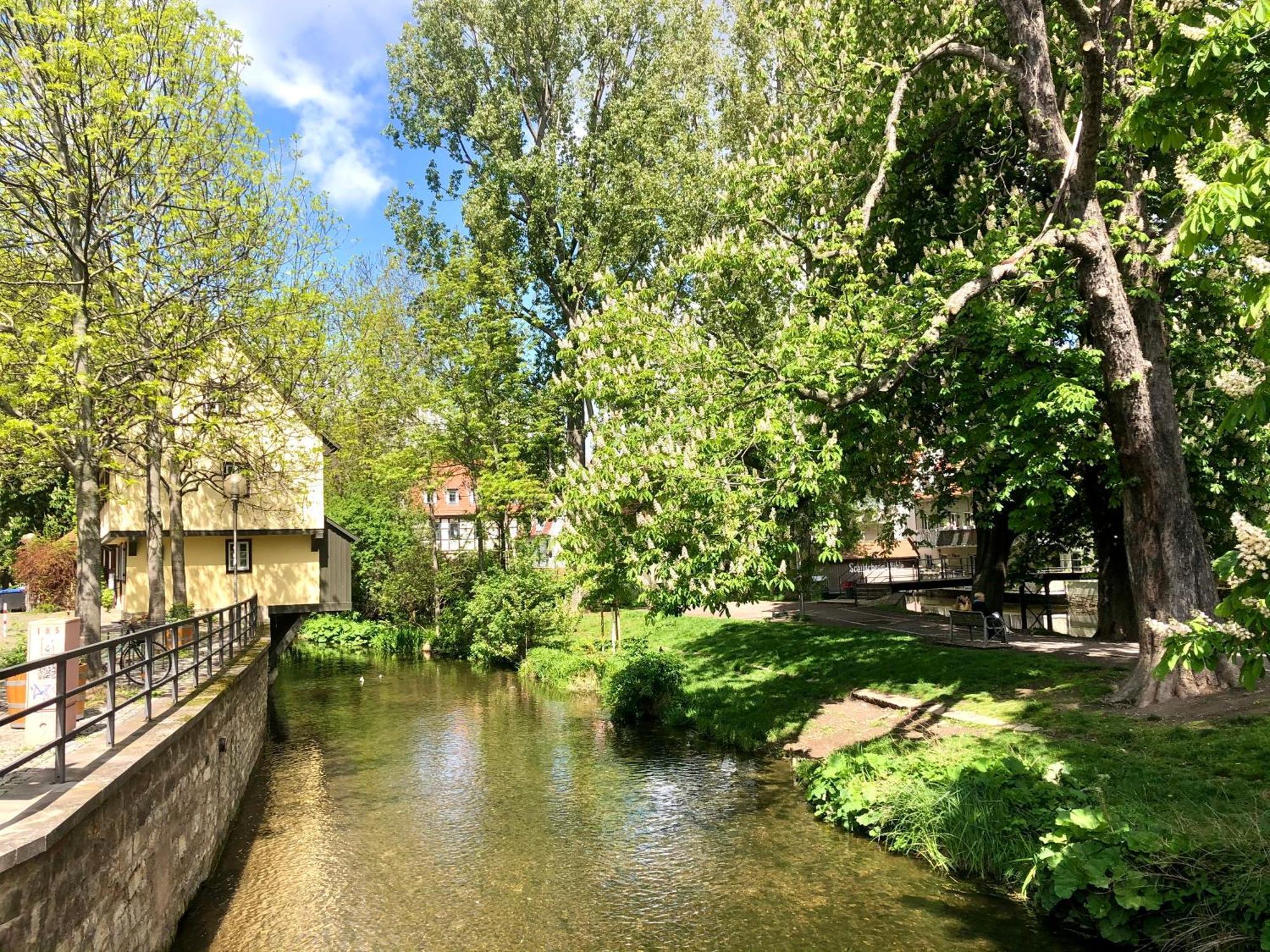 Ferienwohnung Augenblick - Stylisches Apartment In Der Besten Altstadtlage Von Erfurt Buitenkant foto